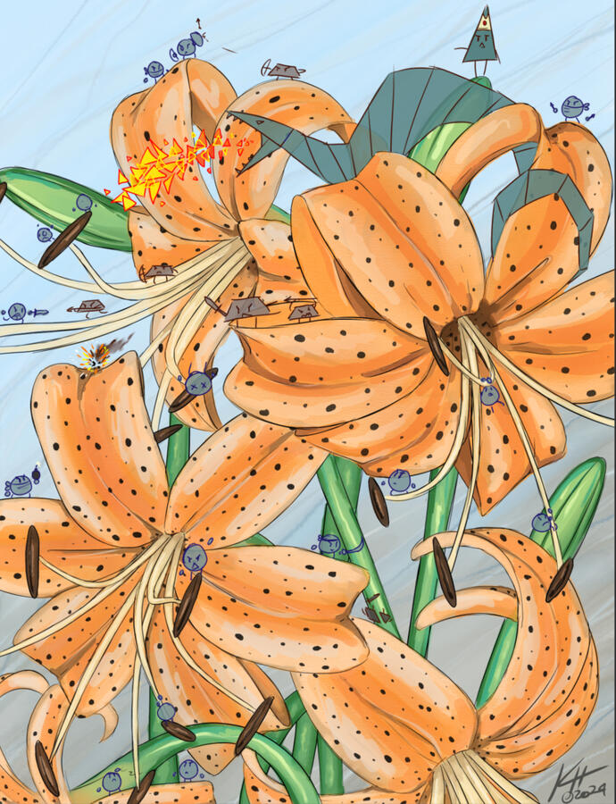 Battle of the Tiger Lilies