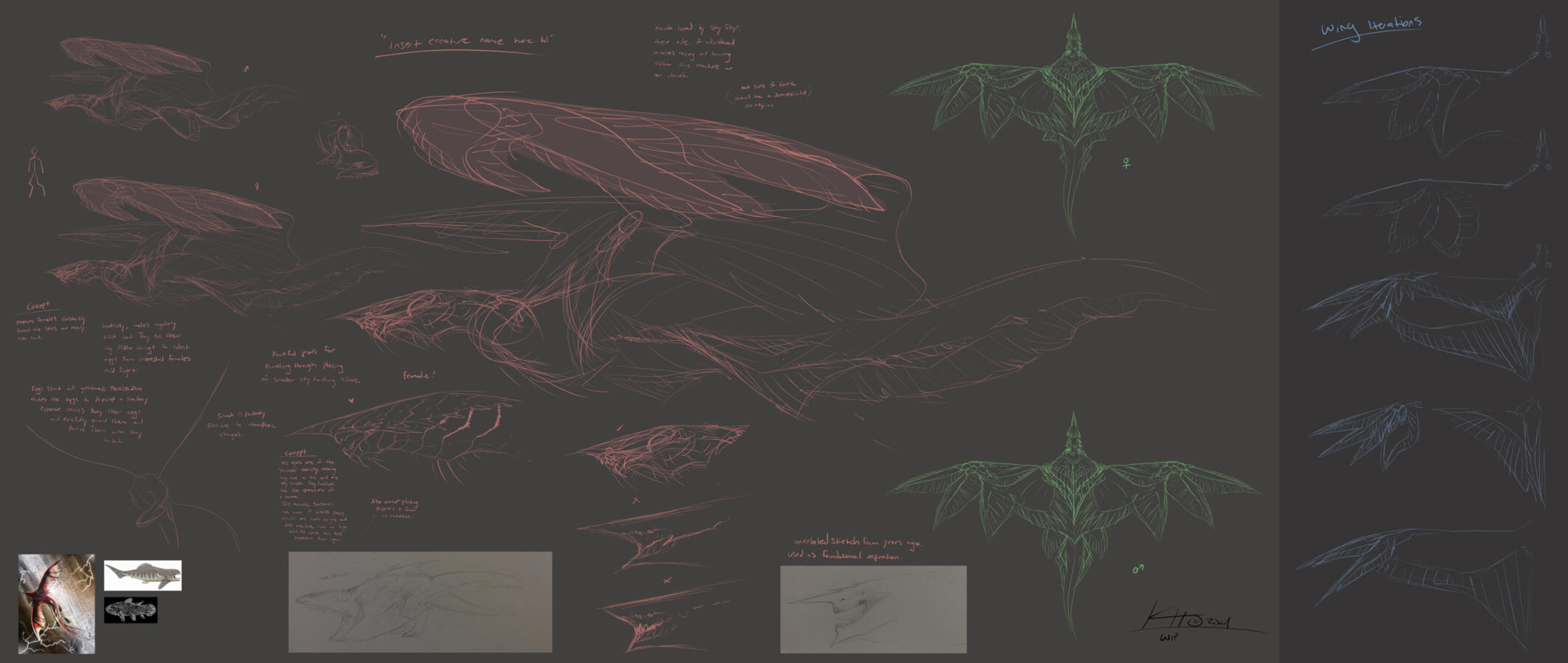 Valkross Species