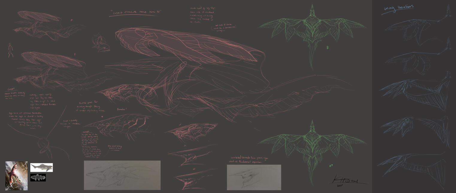 Valkross Species