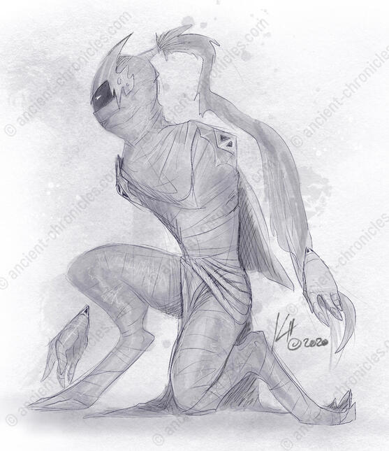 Shyr Sketch